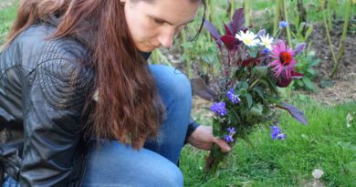 Vrouwluu pluktuin en picknick activiteit